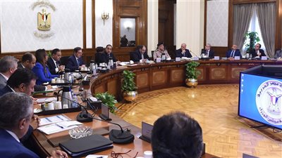 رئيس الوزراء يلتقي رئيس مجلس إدارة شركة 