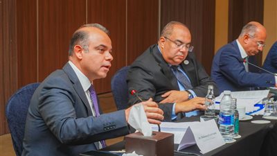  رئيس الرقابة المالية يشارك في مائدة مستديرة حول قمة المناخ