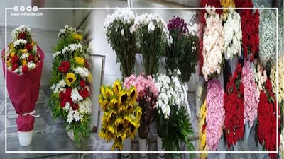 الكيني بيتباع بالسنتيمتر والبلاك بيتزرع محليا.. تأثير الدولار على أسعار الورد المحلي والمستورد | فيديو