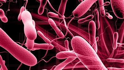 لم تتوقعها.. هذه الأفعال تعرضك للإصابة بالكوليرا