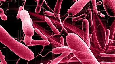 قرار جديد من الصحة اللبنانية بشأن التعامل مع الكوليرا