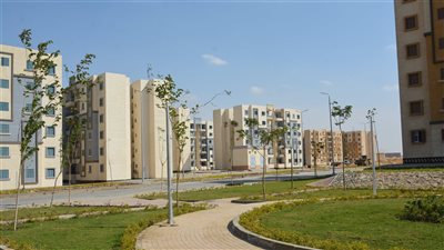 عضو المهندسين المصريين: العمارة الخضراء مكاسبها بيئية واقتصادية 
