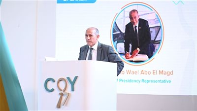 إصدار وثيقة الشباب العالمية في ختام COY17 لتعزيز العمل المناخي | صور