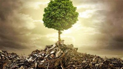 تزامنا مع قمة المناخ.. العالم يحتفل باليوم الدولي لمنع استخدام البيئة في الصراعات العسكرية 