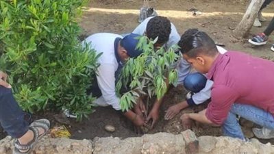 تشجير مدارس الجيزة تزامنا مع مؤتمر قمة المناخ cop27 | صور