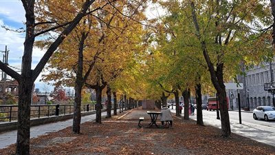 كندا تسجل ارتفاعا غير مسبوق في درجات الحرارة 