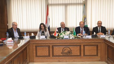 الجيزة: إنشاء 11 سوقا حضاريا للقضاء على الباعة الجائلين