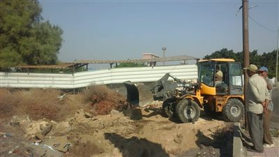 محافظ الإسكندرية لرؤساء الأحياء: استمروا في زيادة الأشجار المثمرة 