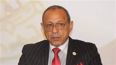 رئيس الحركة الوطنية: قمة المناخ حدث دولي يليق بمكانة مصر