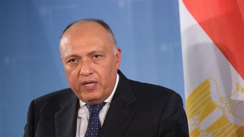 سامح شكري