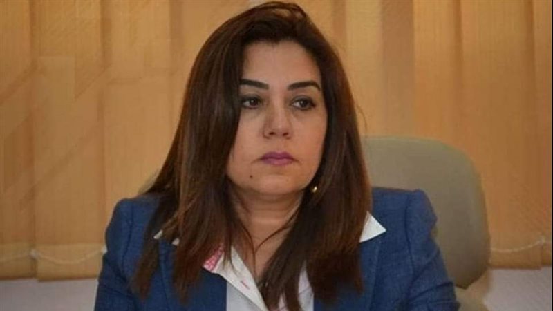 محافظ دمياط