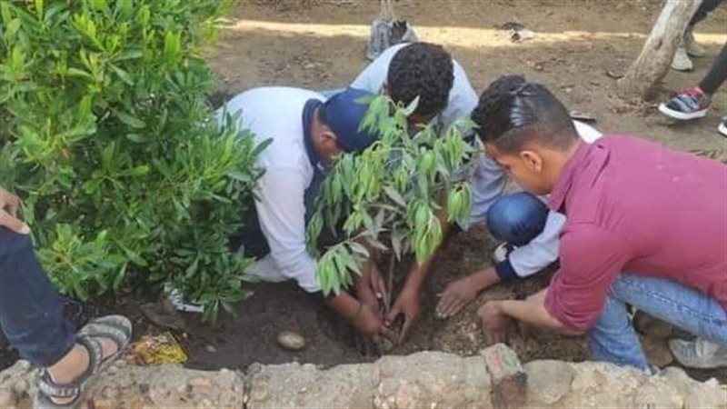 تشجير مدارس الجيزة