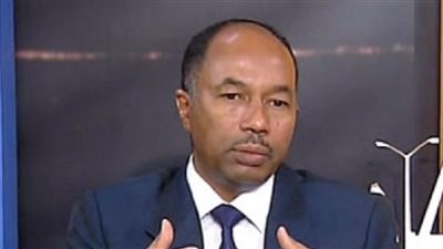 مدير‭ ‬مركز‭ ‬التكامل‭ ‬المصري‭ ‬السوداني‭:‬ ننتج 5 سلع تكفي لإطعام العرب.. وتوفر 42 مليار دولار واردات | حوار