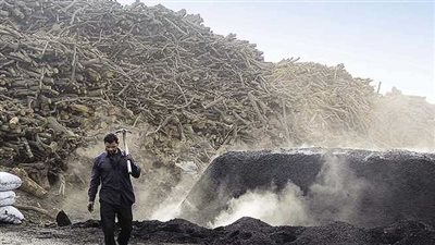 سر هجوم البرلمان على مكامير الفحم المخالفة بالدقهلية 