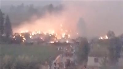 دون خسائر في الأرواح...النيران تلتهم قش أرز 2000 فدان في الدقهلية | صور