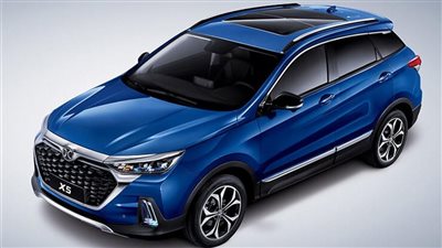 الجمارك المصرية تستقبل 200 سيارة صينية موديلات 2023