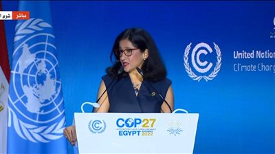 رئيس كلية لندن للاقتصاد: مصر مهد الحضارة الإنسانية..والبشر يمتلكون الأدوات للحد من التغيرات المناخية