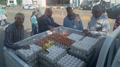 محافظ أسيوط: توفير منافذ بيع متنقلة للسلع الزراعية بأسعار مخفضة 