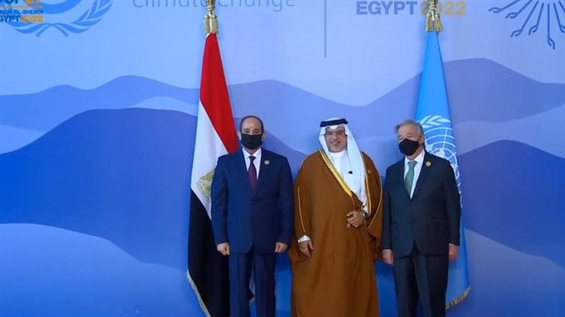 السيسي يستقبل ولي
