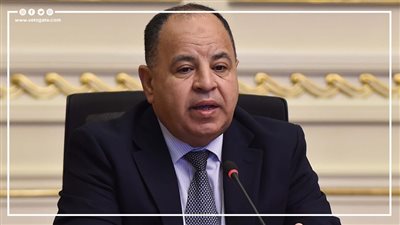 رد غير متوقع من وزير المالية عن سعر الدولار الفترة المقبلة| فيديو