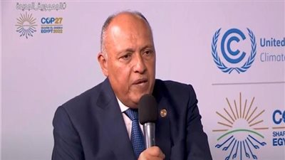 وزير الخارجية: مصر بصدد طرح مبادرات قومية للمشروعات الخضراء