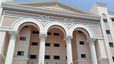 قتلوا صيدليا وطلبوا فدية ربع مليون جنيه..المؤبد والإعدام لعاطلين بالقليوبية 