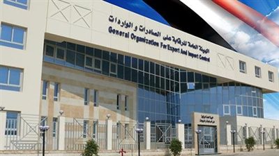 الرقابة على الصادرات: استقبال 72 ألفا و959 رسالة واردات خلال 9 أشهر