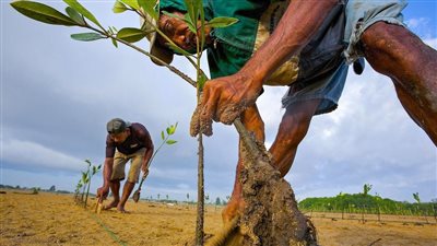 مصر تواجه تحديات تغير المناخ.. ارتفاع درجات الحرارة والجفاف يهددان الأمن الغذائي.. و264 مليار دولار تكلفة التكيف