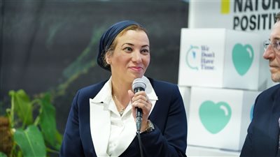 وزيرة البيئة تستعرض رؤى مصر نحو التنفيذ للعمل المناخي في COP27 | صور