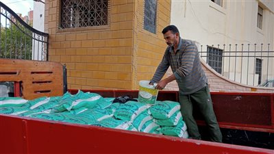 الكيلو بـ12 جنيها.. التموين تطرح كميات كبيرة من الأرز بالدقهلية 