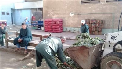 رفع 10 أطنان قمامة وكلبشة 53 سيارة مخالفة وغلق 10 مصانع في حملات بالجيزة