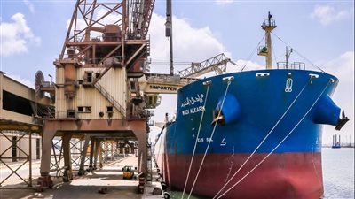 منها السفينة (WADI ALKARM).. تداول 33 سفينة بضائع متنوعة بميناء دمياط