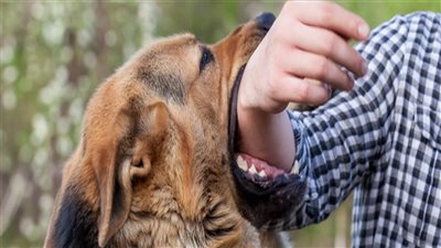 بعد وفاة طفلي مدينة نصر والضبعة.. طبيبة تحذر من 
