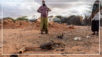  تقارير كارثية بشأن الأمن المائي للدول في COP27| انفوجراف 