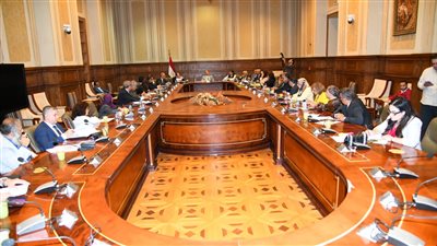  اتصالات الشيوخ توافق على ١٢ مادة بمشروع قانون مصر الرقمية.. وغدا استكمال المناقشة