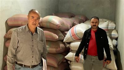 ضبط 8 أطنان أرز شعير قبل بيعها بالسوق السوداء في حملة تموينية بالدقهلية 