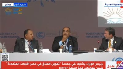 رئيس الوزراء يشارك في جلسة 