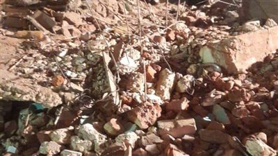 سكرتير محافظة الجيزة يصل موقع انهيار عقار إمبابة