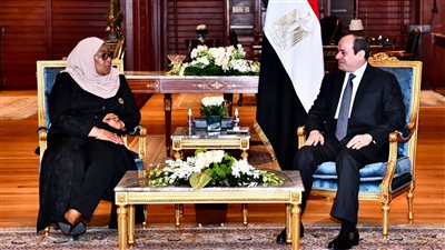 السيسي يبحث مع رئيسة تنزانيا تعزيز الاستثمارات المصرية وإنشاء سد 