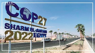 مصر تدعم الاقتصاد الأخضر بشراكاتها الدولية | إنفوجراف 