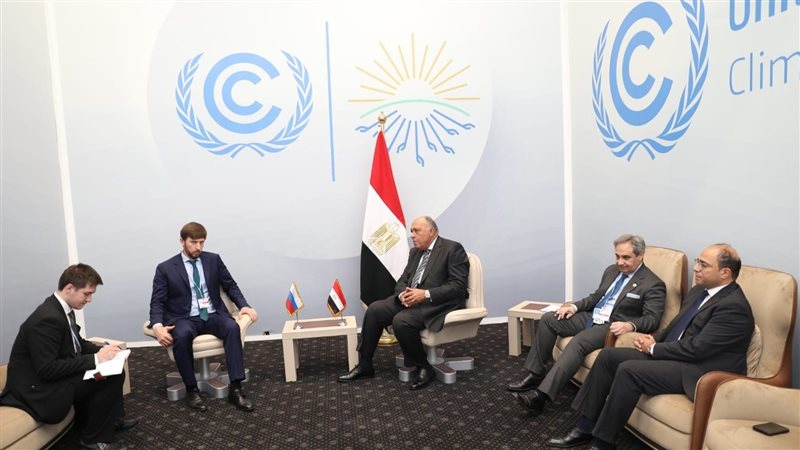 شكري يستقبل مبعوث