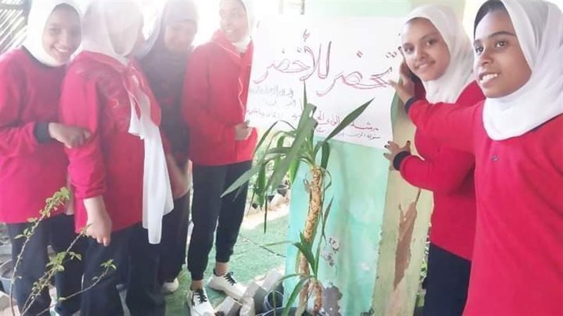 مدارس الوادي الجديد