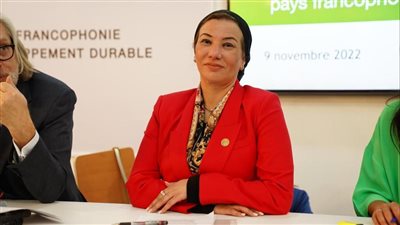 قمة التنفيذ.. تطوير خطة الاستثمار على هامش مؤتمر المناخ COP27