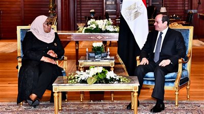 قمة المناخ بشرم الشيخ تواصل فعالياتها.. السيسي يبحث مع رئيسة تنزانيا تعزيز الاستثمارات وإنشاء سد جوليوس نيريري.. ويؤكد لرئيس بوروندي دعم مصر لبلاده
