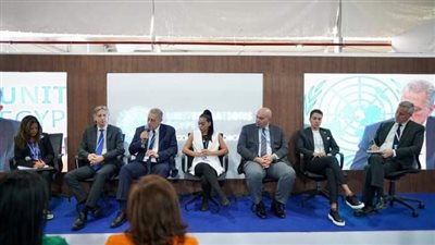 تنمية المشروعات: توفير تمويلات لإنشاء محطات طاقة شمسية وتحويل السيارات للعمل بالغاز الطبيعي