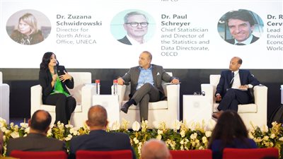 نائب وزيرة التخطيط: نسبة المشروعات الخضراء في الخطة الاستثمارية وصلت إلى 30% 