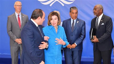 السيسي يؤكد لرئيسة النواب الأمريكي استمرار مصر فى مكافحة الإرهاب والفكر المتطرف