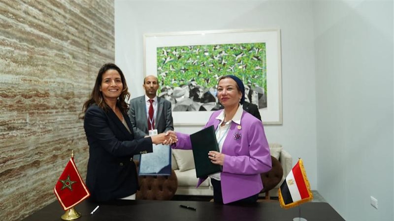 وزيرة البيئة والوزيرة