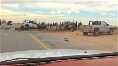 جمل سائب يقتل 5 شبان في السعودية