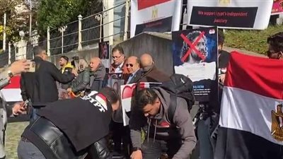 الجالية المصرية في فيينا لـ الغرب: نرفض التدخل في شئون بلدنا 
